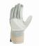 teXXor® Rindspaltleder-Handschuhe ′HARZ′