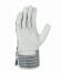 teXXor® Rindvollleder-Handschuhe ′BROCKEN′